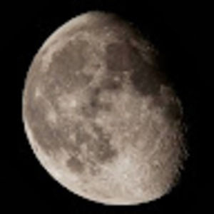 Meet your Posher, Dustin tr